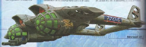 manta2.jpg